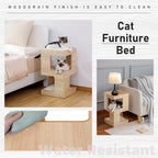 Niche pour chat, lit pour chat, arbre à chat avec griffoir et tapis amovibles