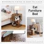 Niche pour chat, lit pour chat, arbre à chat avec griffoir et tapis amovibles